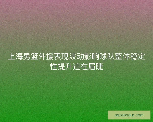 上海男篮外援表现波动影响球队整体稳定性提升迫在眉睫