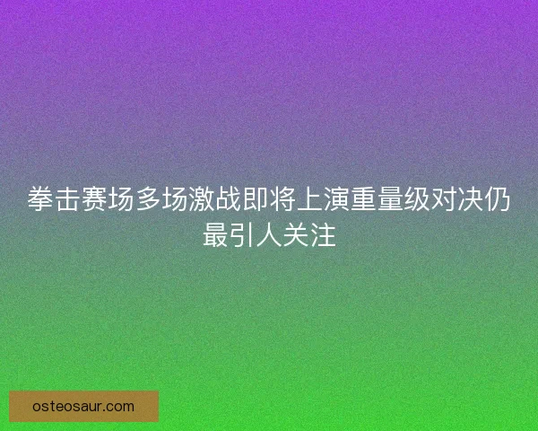 拳击赛场多场激战即将上演重量级对决仍最引人关注